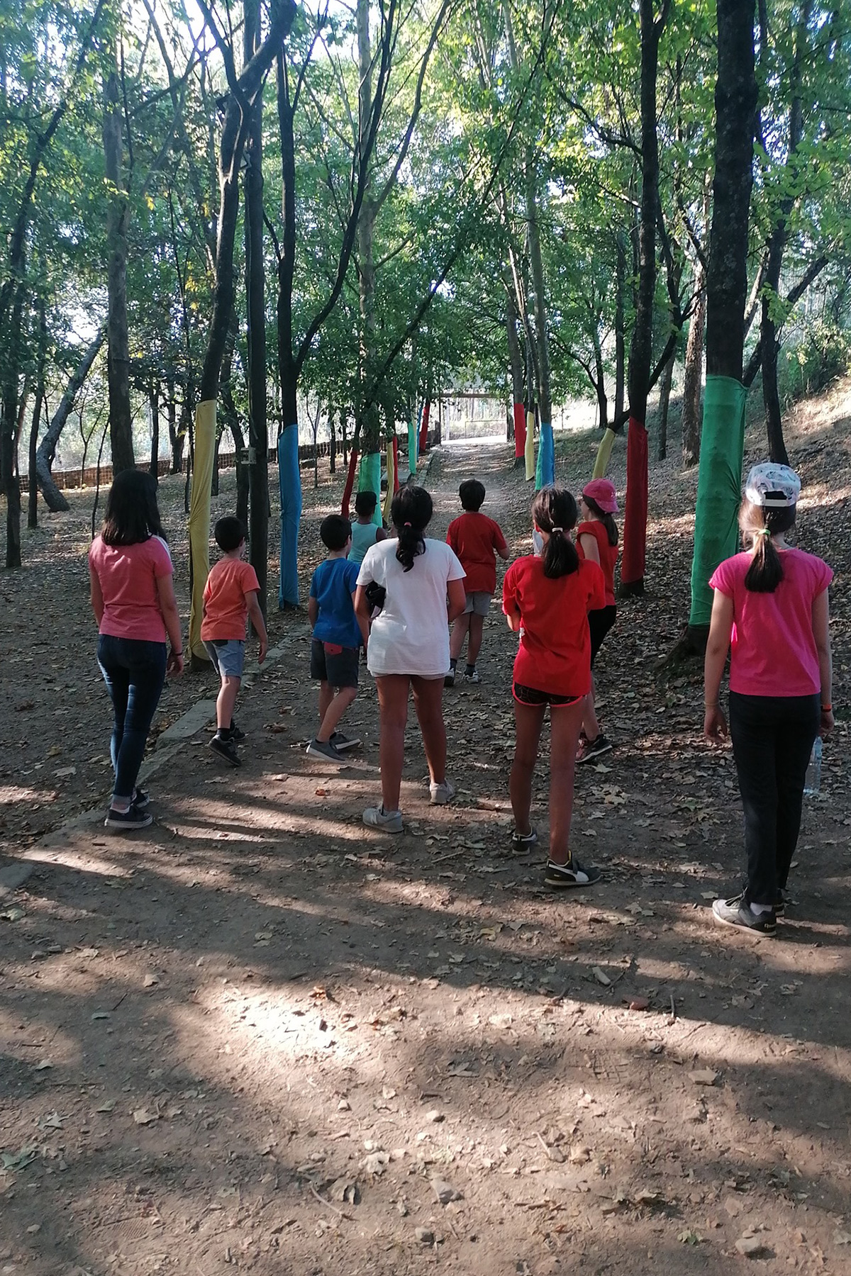 Galeria