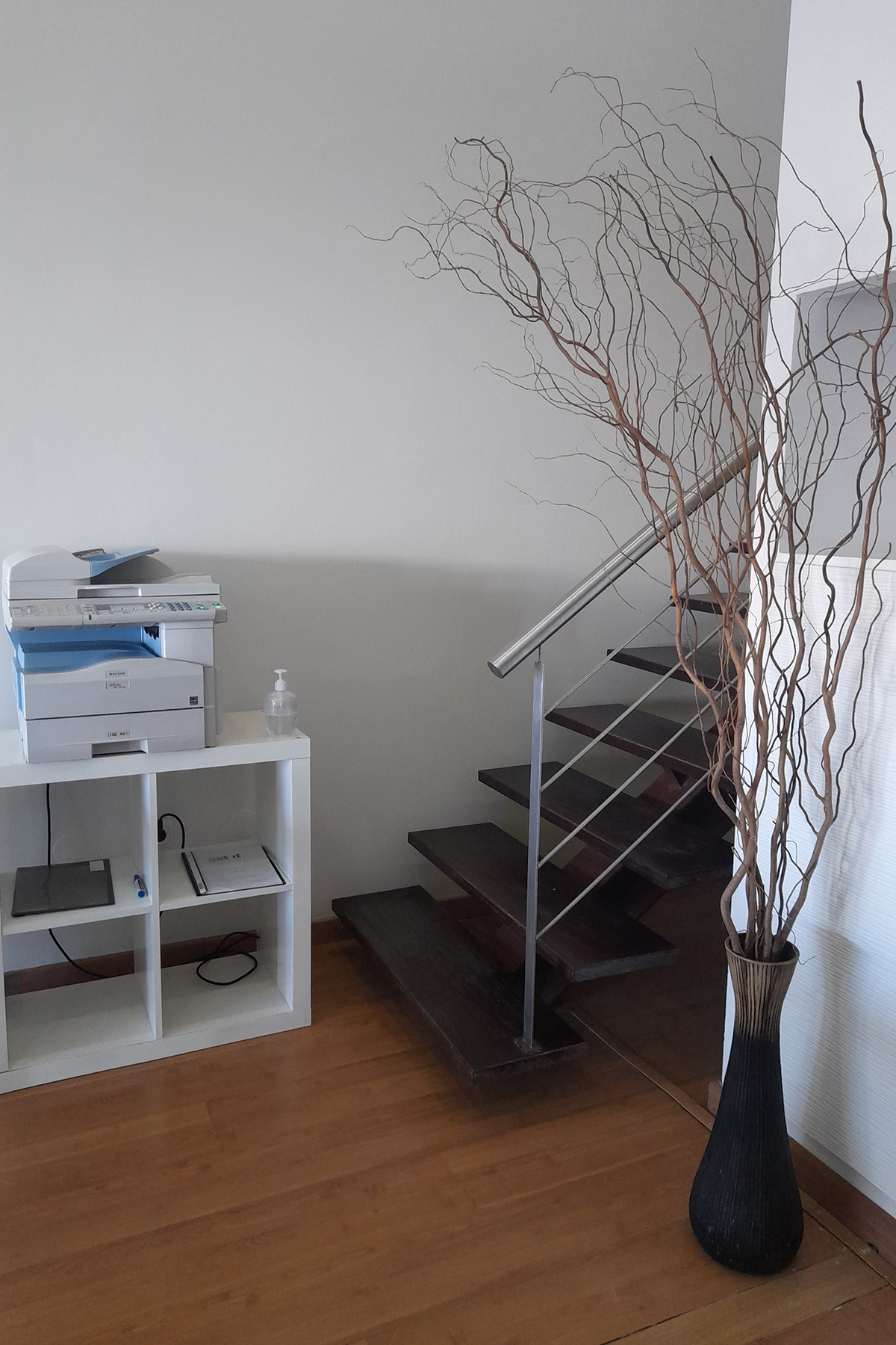 Galeria